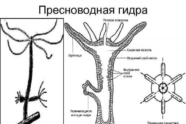 Ссылка в даркнет