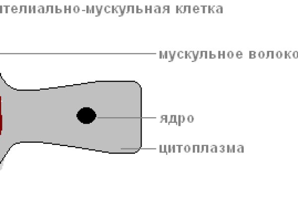 Кракен официальная kr2web in