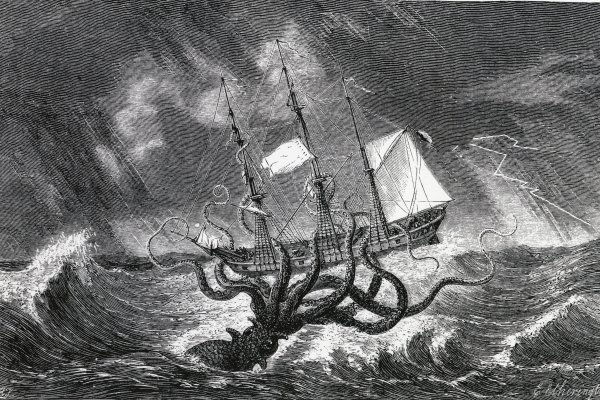 Kraken домен