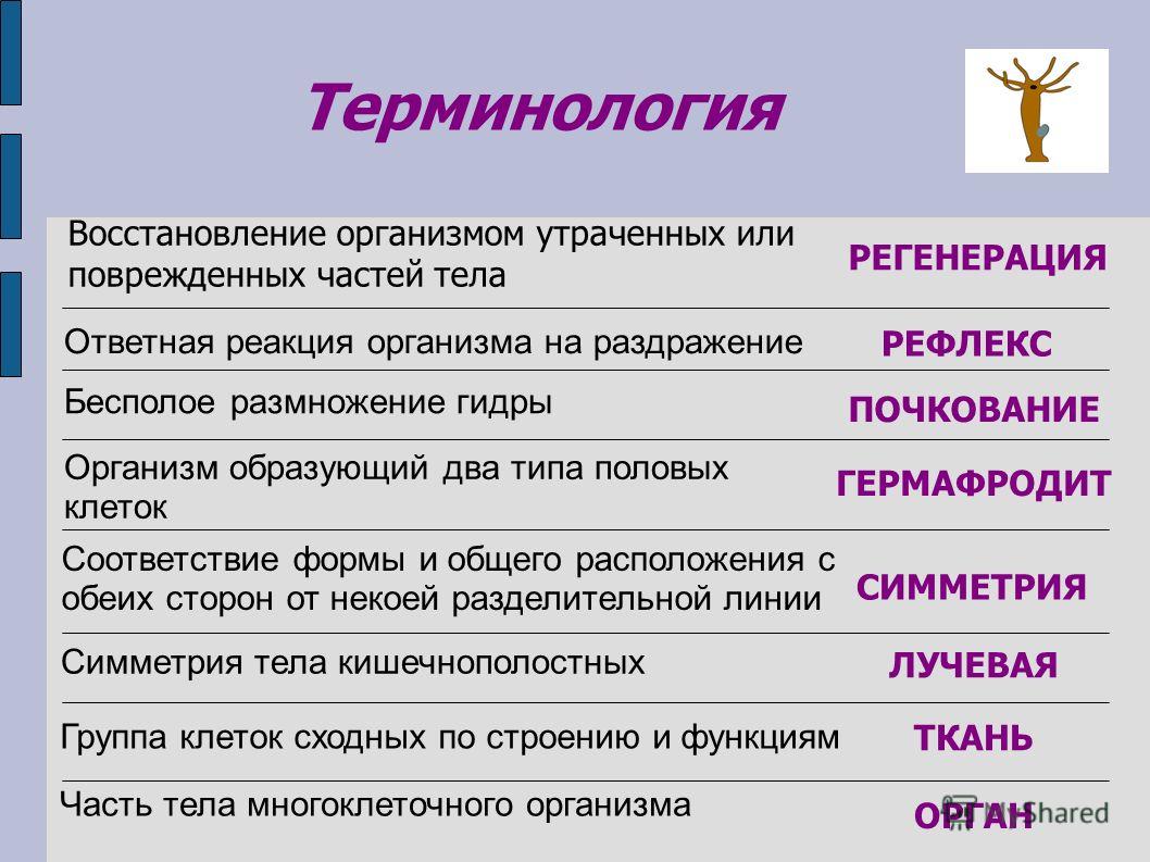 Кракен даркнет официальный сайт